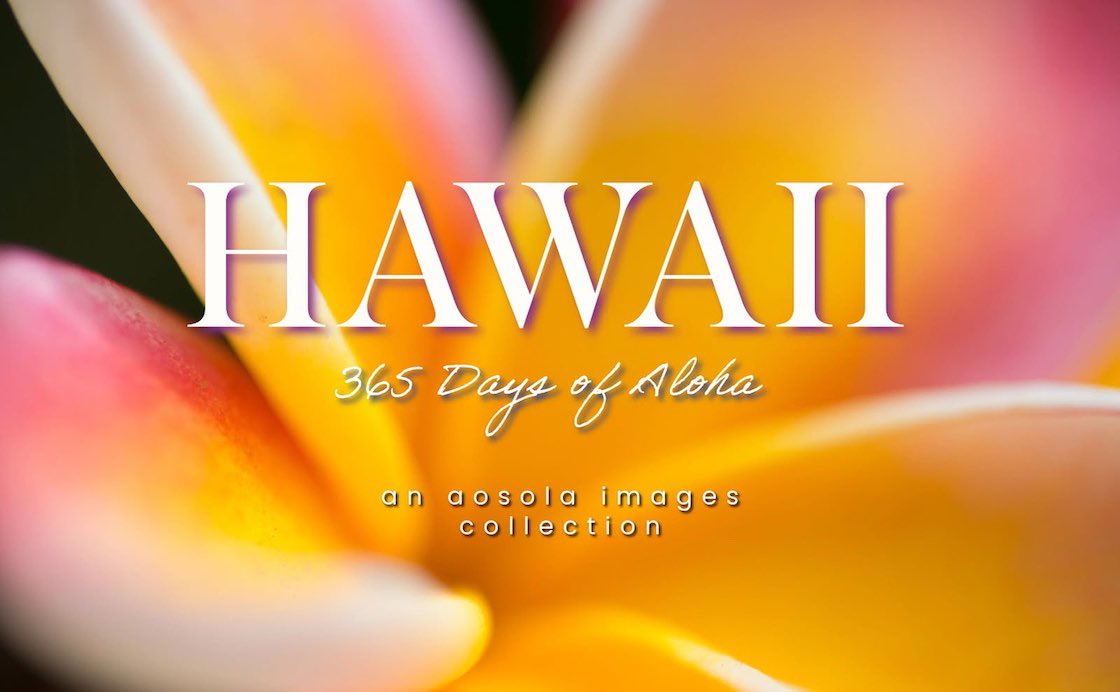 goHawaiiJP's tweet image. ハワイで活躍するカメラマン4名が、ハワイで撮影したAmazonのKindle版写真集「HAWAII: 365 Days of Aloha」が刊行されました。20年間に渡り撮りためた写真から365カットに厳選した1冊📕✨
是非、日々の彩りに🌺詳細はこちらから👉 allhawaii.jp/htjnews/7143/