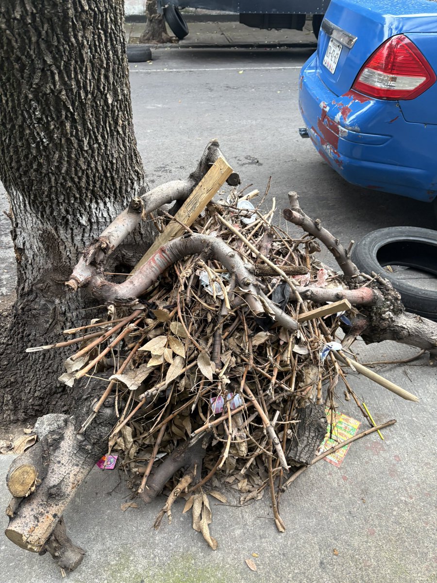 alemoritale's tweet photo. Cuando van a venir a limpiar la calle de Balboa entre Presidentes y Emiliano Zapata @AlcaldiaBJ @GobCDMX tengo un mes viviendo aquí y ya estaban los restos de árbol, se están volviendo focos de infección. Por eso se inundan las calles. @VILLALVAZO13 https://t.co/k5d5eZGTbr