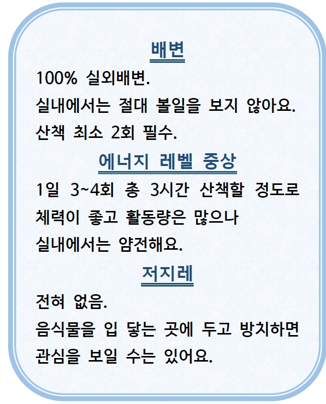 마일로는 100% 실외배변만 하기 때문에
매일 2회 산책이 필요합니다
하루도 쉬지 않고 매일 산책하는 건 어쩌면 힘든 일일 수 있어요
산책도 매우 좋아하기 때문에 가능하면 둘 이상의 가족이 부담을 나눌 수 있는 가족이면 좋을 것 같습니다