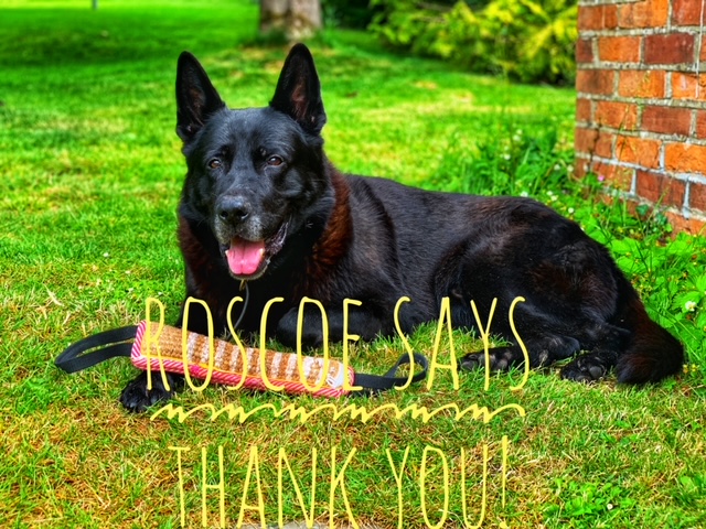ERPDF's tweet image. In the last three weeks we
have helped four RPDs
paying £2,262.23p towards
their vet & welfare costs.
Each month we are helping RPDs
with one off & regular awards.
THANK YOU for your support
🐾💙🐾
essexretiredpolicedogs.co.uk/how_we_use_you…