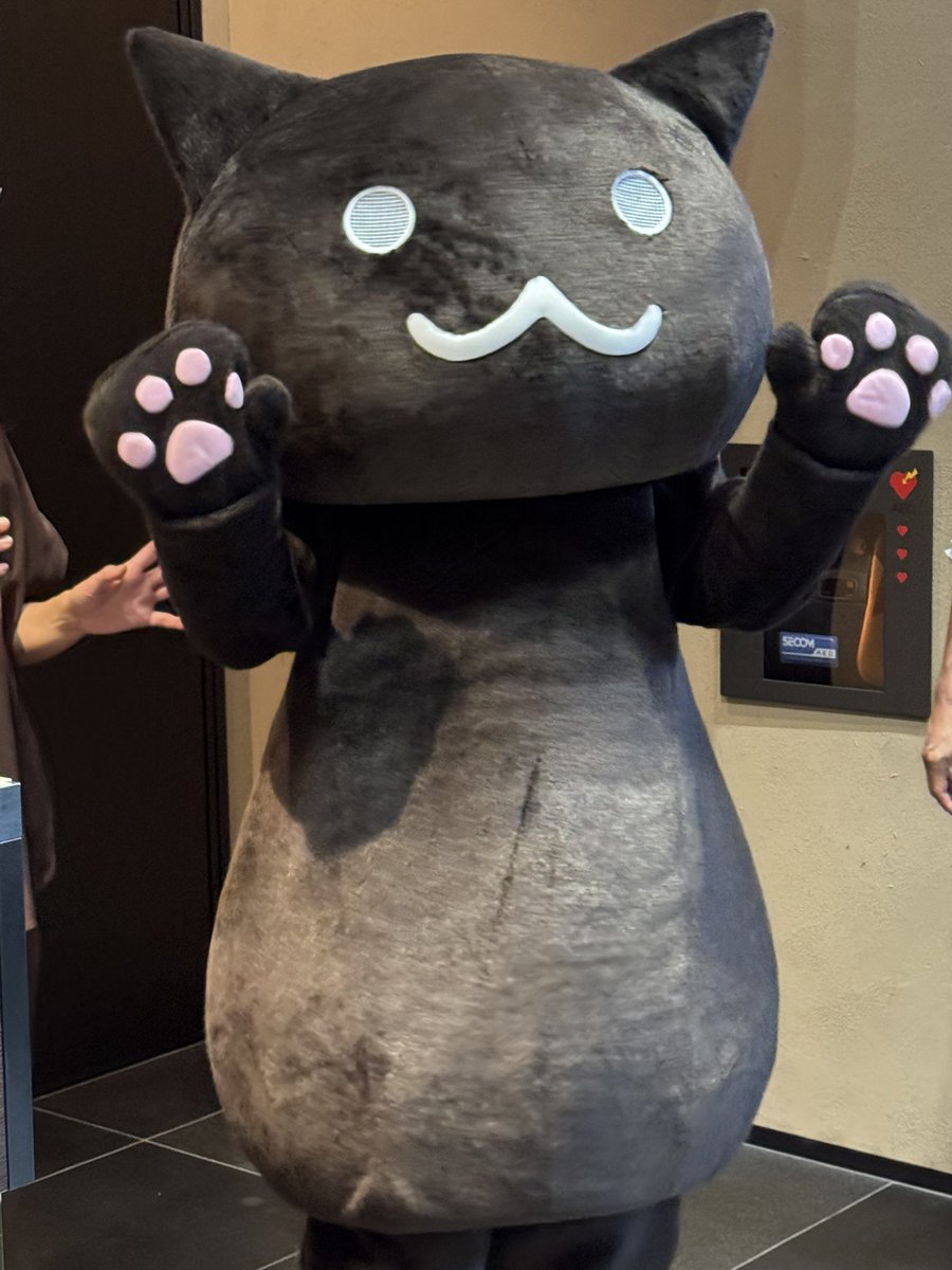 ネコ丸ページ 爪とぎ ボックス型 シート2枚入: ペット