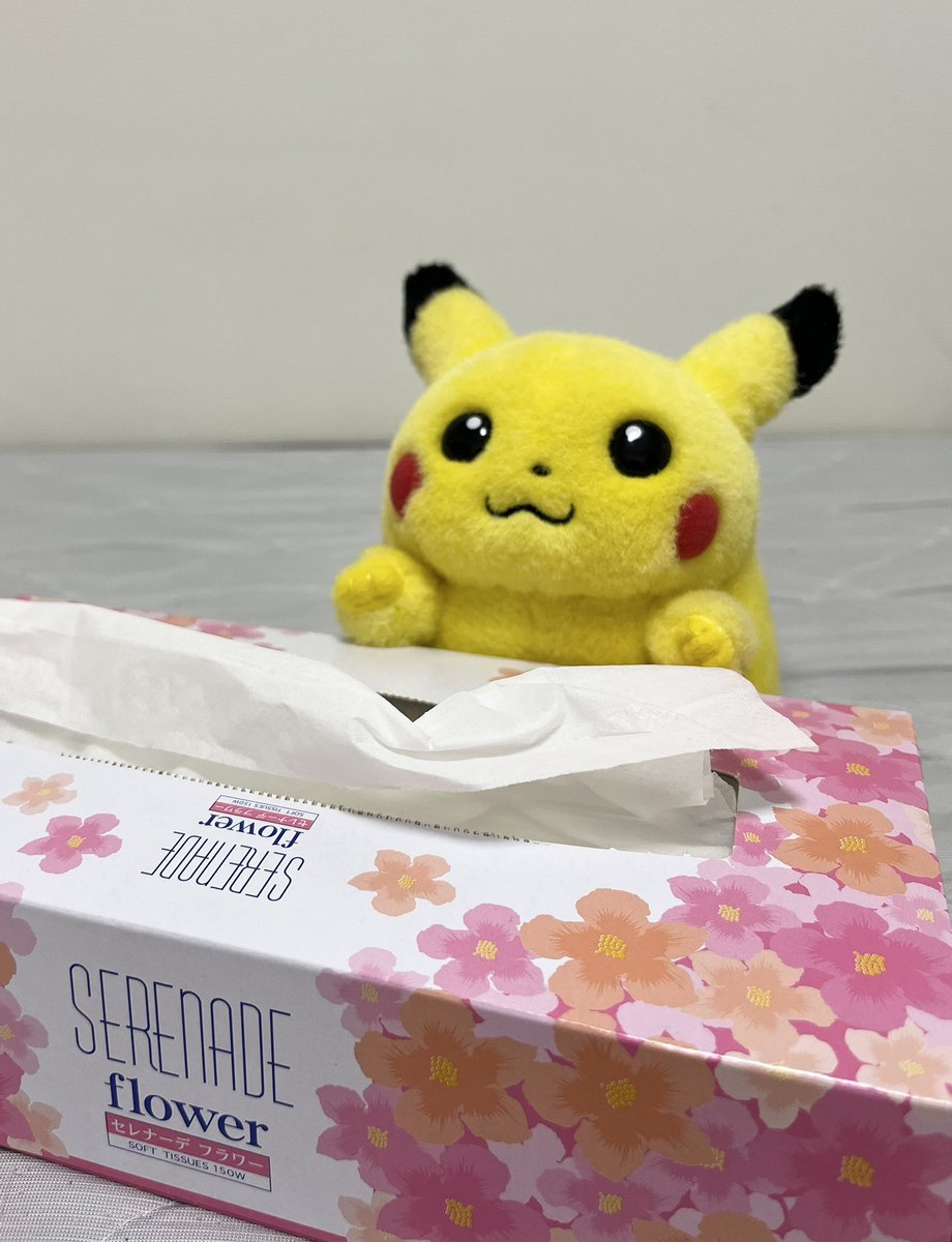 oshaberipikachu's tweet image. 歯が痛いので鎮痛剤を飲みたいvsしぬほど鼻水がでてるのでアレルギー薬を飲みたいvsぴな（ぴな？？？）
