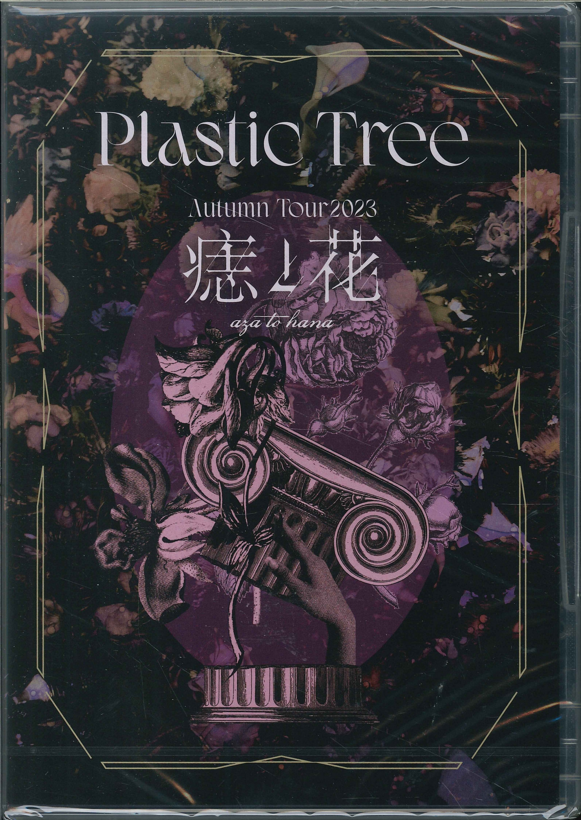 PlasticTree 痣と花 ライブDVD まんだらけ渋谷店【V系専用アカウント】 on X: 