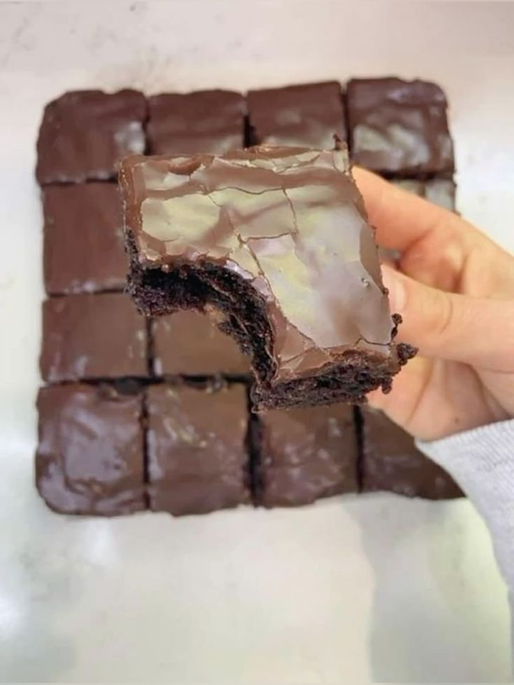 Cleora (@clleorax) on Twitter photo 