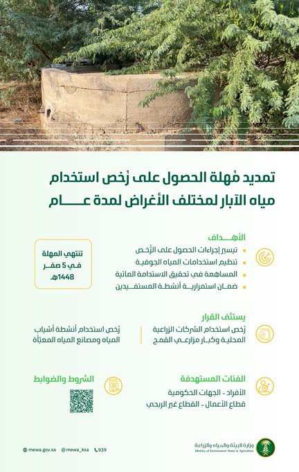 الصورة