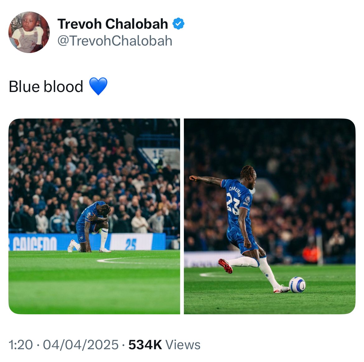 Tweet media one