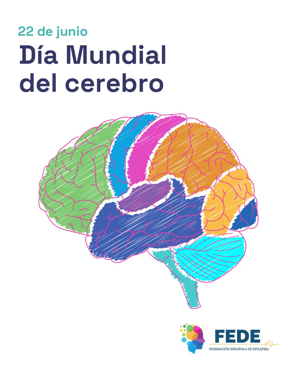 🧠 En el #DíaMundialDelCerebro recordamos la importancia de seguir investigando sobre epilepsia, una condición neurológica que afecta a más de 50 millones de personas en el mundo.

💜 Apostamos por un futuro con más conocimiento y menos estigma.

#Epilepsia #Investigación #FEDE