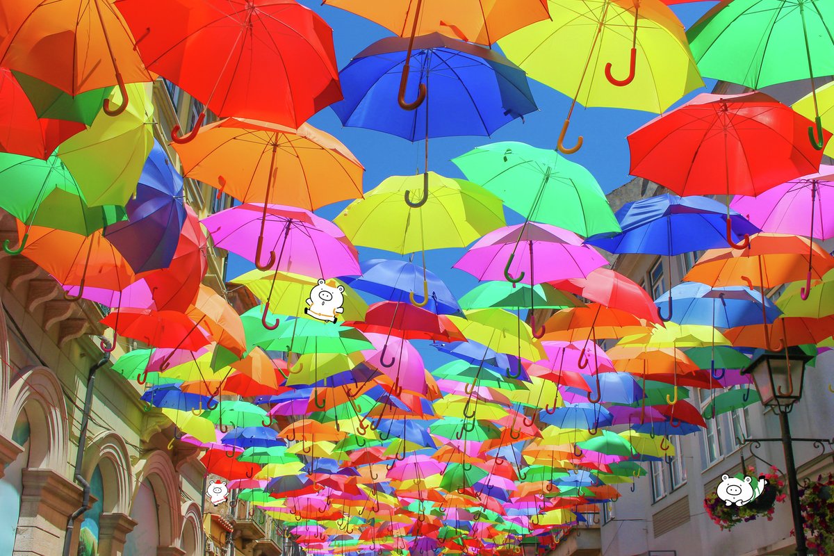 ＼傘が空を飛んでる!?☂️✨／

最近日本でもよく見る傘アート発祥の地
#ポルトガル #アゲダ 🇵🇹では
毎年7〜9月「アンブレラ・スカイ・プロジェクト」開催中！

頭上はカラフルな傘まみれ☂️🌈
隠れているボクたちのこと、探してみてね～🐻🐻🐻

#アゲダ傘祭り #Agueda