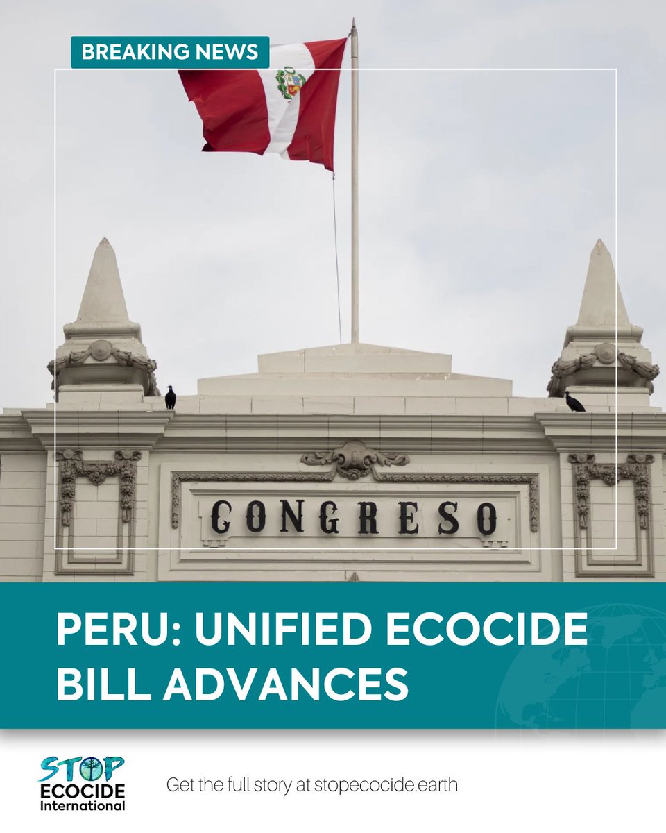 📢🇵🇪 Unified #ecocide legislation advances in #Peru – another major step forward!

The new proposal consolidates three previous bills and would add #ecocide as a new crime to Peru's Penal Code.

Full story🔗 stopecocide.earth/bn-2025/peru-u…

#StopEcocide @RuthLuqueIbarr