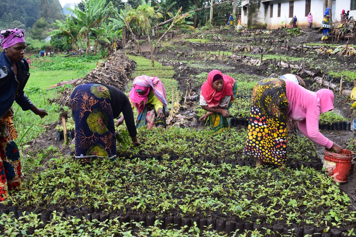 CubeMatch Ltd. tweet media