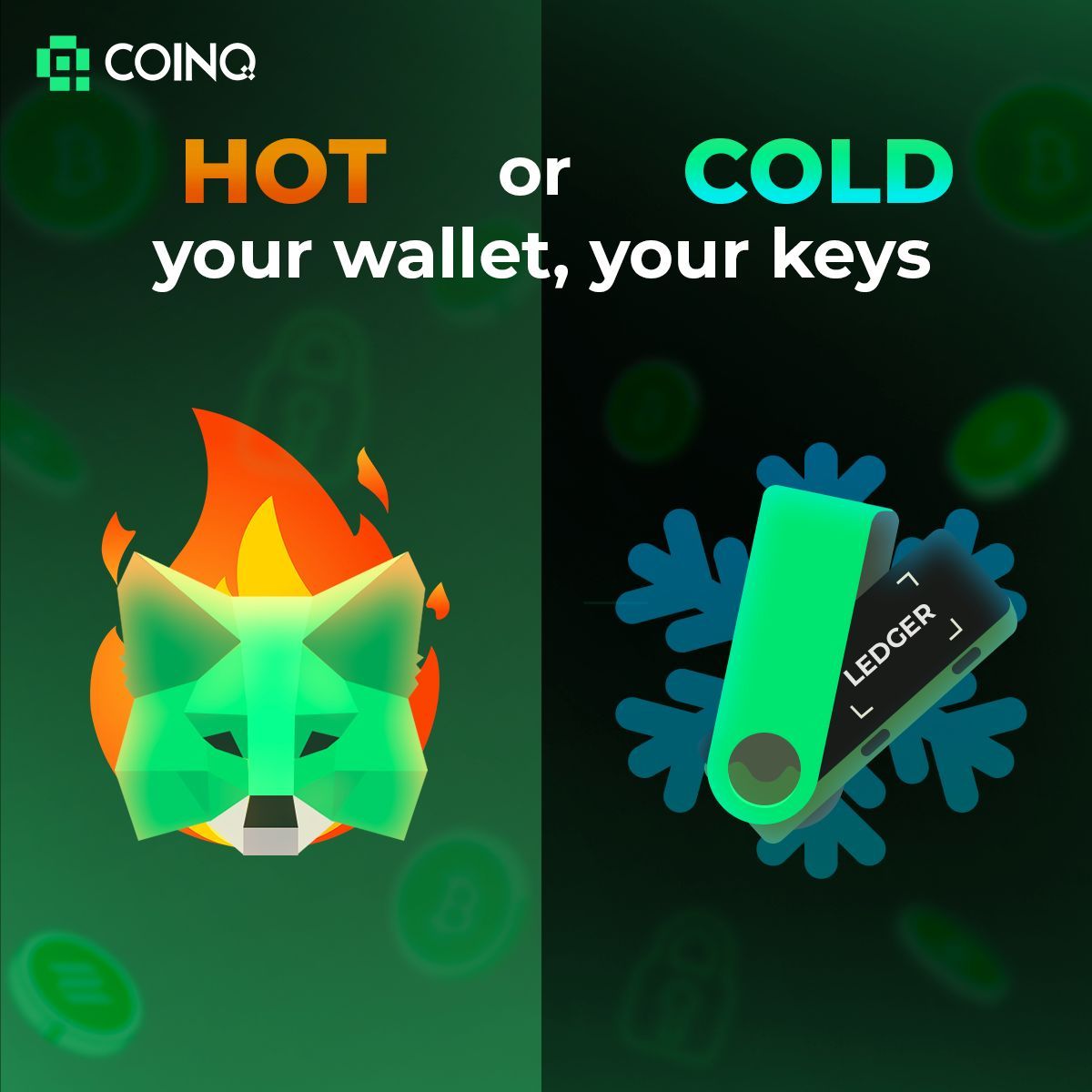 A crypto wallet stores your private keys 🔑 

Hot wallets = online (easy, but less safe) 

Cold wallets = offline, ultra-secure 💼 

Your keys, your crypto. 

#CryptoWallet #HotVsCold #CoinQ