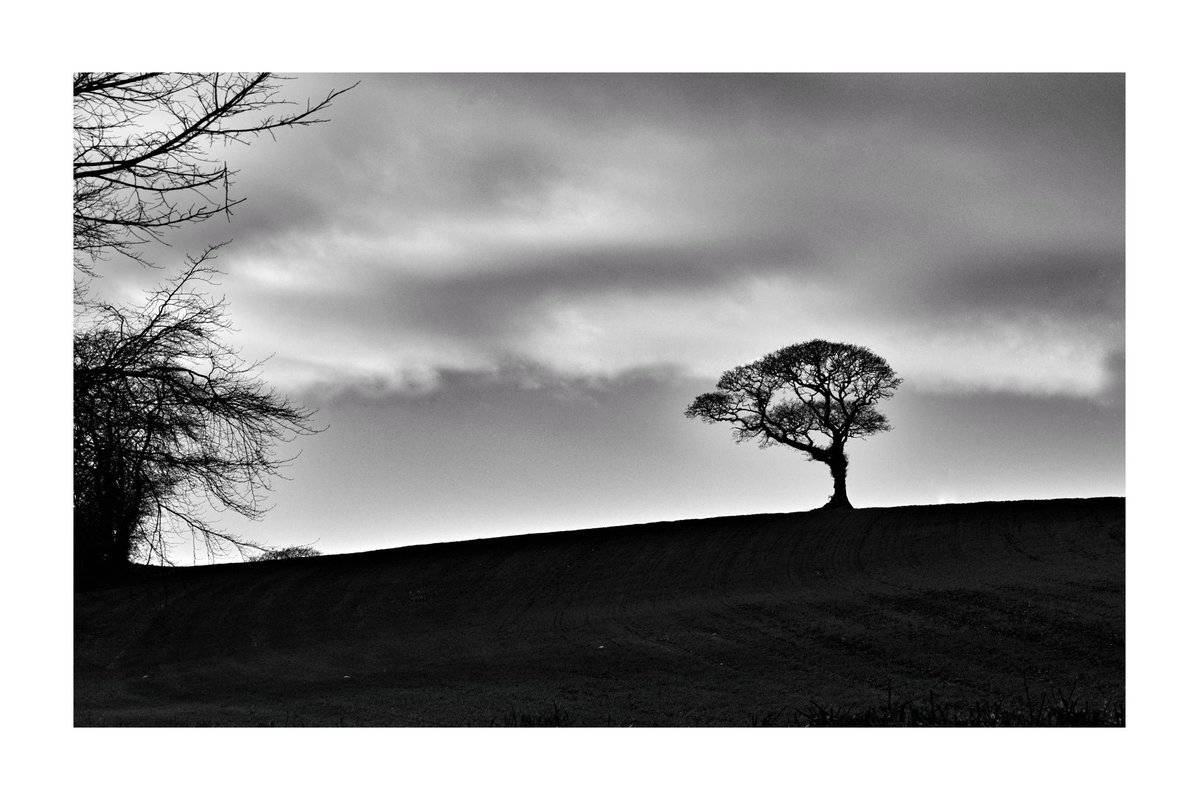 olbil's tweet image. Solitudinis #Gallery365in2025DailyPrompt #Gallery365in2025JulyBrandt
@Gallery365photo