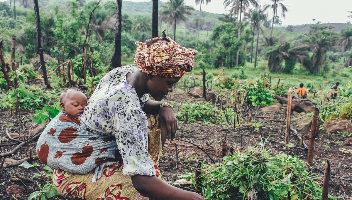 The inclusion of women with diverse backgrounds in climate action and decision-making processes is critical to meaningful, effective, and informed action that respects women’s rights. 💡

Learn more from the Climate Change and Human Rights e-course.

👉 unccelearn.org/course/view.ph…
