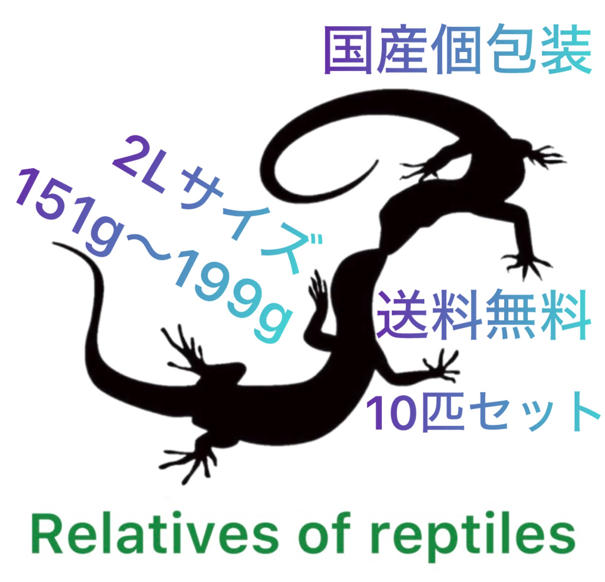 冷凍ラット専門姫路店 Relatives of reptiles(レラレプ