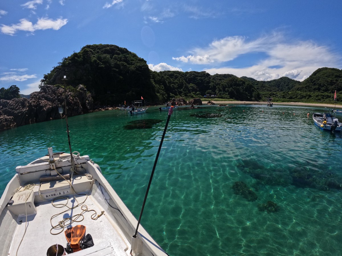 umizono's tweet image. まだまだ続いてます・・・いぃ~海!
今日は漁協のウニ駆除に参加!・・・のち15時~Cカード取得コース学科。明日もいぃ~海が続きそうです。#鳥取県 #岩美町 #羽尾 #ダイビング