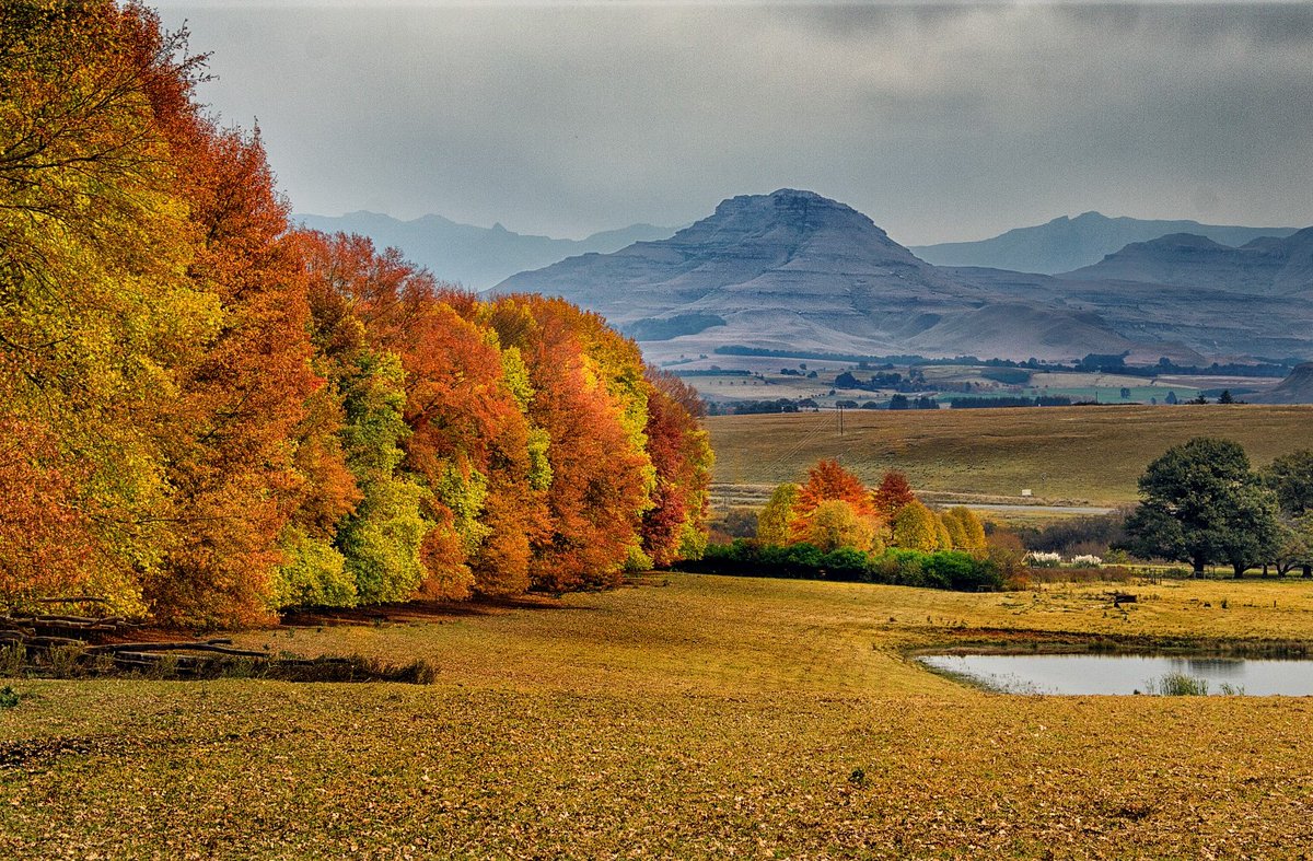 It’s always worth taking the scenic route.
 drakensberg.org
📷 David Minne
#SouthernDrakensberg #kwazulunatal #kzn #kznlife #kwazulunataltourism #southafrica #wowsouthafrica #menseselense #countrylife #travellikealocalza #AboutSouthAfrica #gottaluvkzn #dokzn