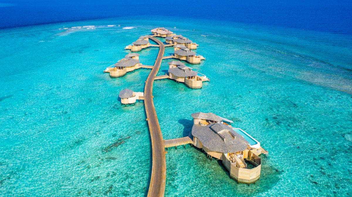 Barefoot mornings, jungle paths and sunlit simplicity. Life flows differently here.

soneva.com/resorts/soneva…

#DiscoverSoneva #ExperienceSoneva