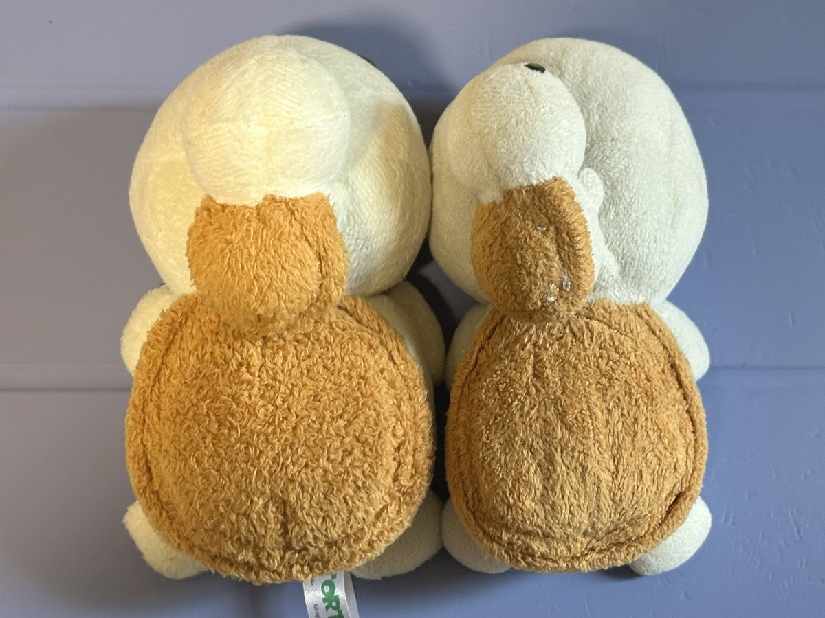 Banila34's tweet image. 乌龟