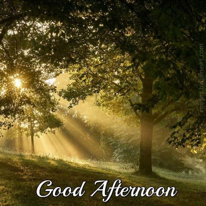 Gd afternoon X Fam 
Have a great day ahead