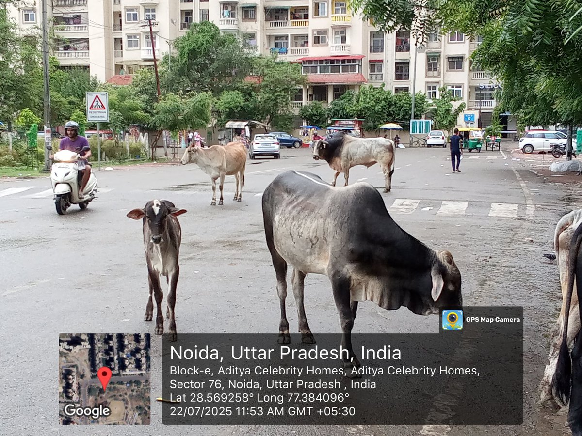 Anoop Maheshwari tweet media