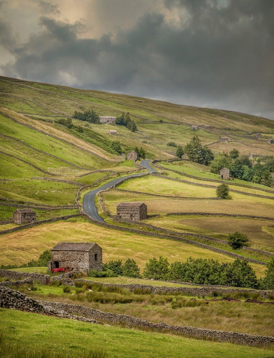 The Racing Armchair tweet media