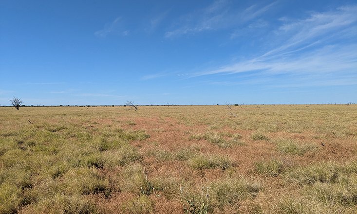 reNEWS_'s tweet image. Irish developer DP Energy is planning to build a 1.4GW wind farm and 500MW battery energy storage system (BESS) in Australia.
renews.biz/101984/dp-ener…