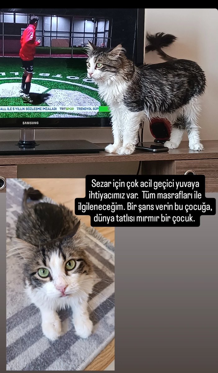 BiyagilZihter's tweet image. Eskişehir @GamzeAslnn