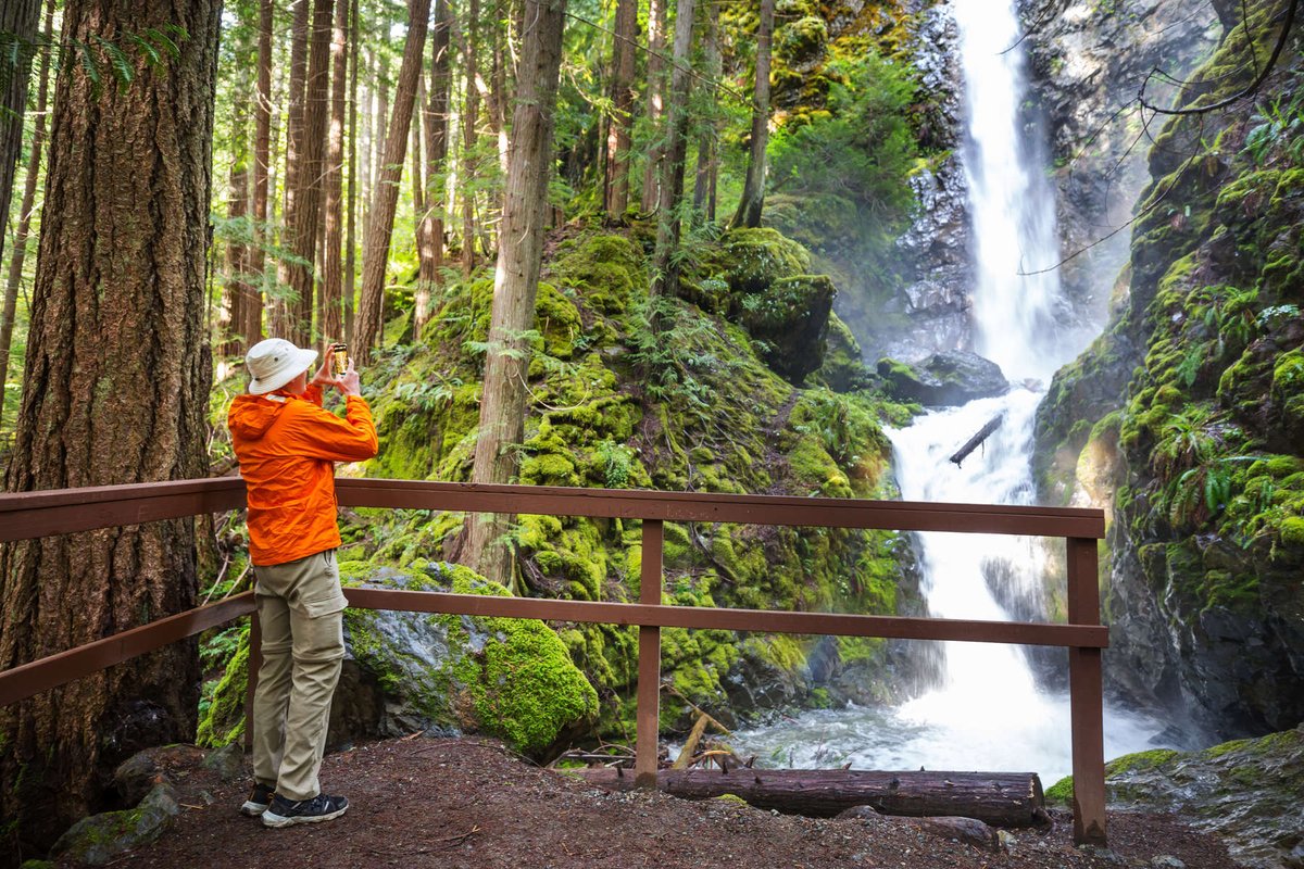 Ray_G_Morales's tweet image. Nothing beats the serenity of misty mornings on a Pacific Northwest trail 🌲✨ Towering evergreens, whispering rivers, and foggy mountaintops set the scene for epic hikes and soul-soothing moments. #PNWAdventures #NatureLovers #WanderWild