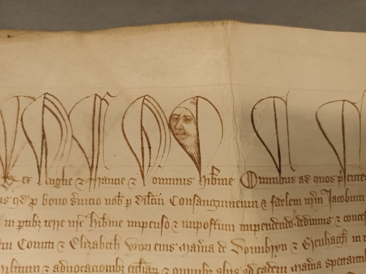 When the deeds have eyes...really fantastic portraiture, possibly of Edward III, in a English royal charter sent to Ireland in 1375 at <a href="/NLIreland/">National Library of Ireland</a>. The face is drawn into the loop of the h for hib[er]nie or Ireland, and has a rather Big Brother (or Edward) is watching you feeling