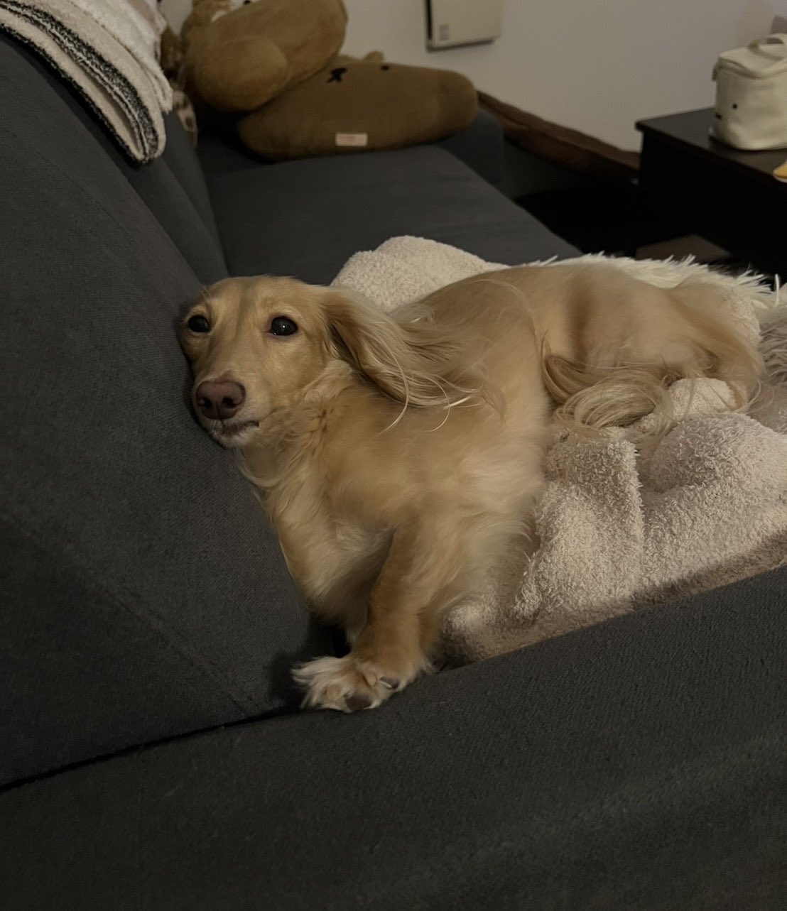 ちゃちゃ (@chacha210309) / X