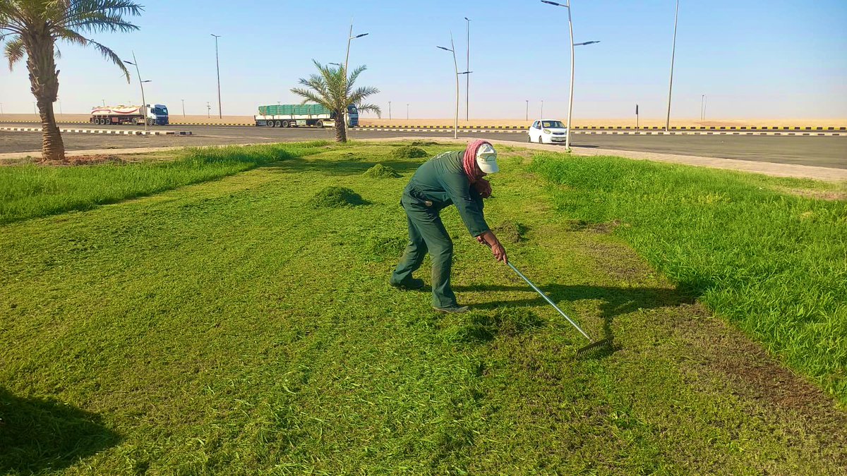 ummkhonsar's tweet image. استمرارًا لأعمال العناية بالبيئة وتحسين المشهد الحضري، نفذت #بلدية_أم_خنصر أعمال قص النجيل وصيانة المسطحات الخضراء في عدد من المواقع، بما يسهم في رفع جودة الحياة وتحسين المظهر العام.
#بلدية_أم_خنصر
#أمانة_منطقة_الحدود_الشمالية