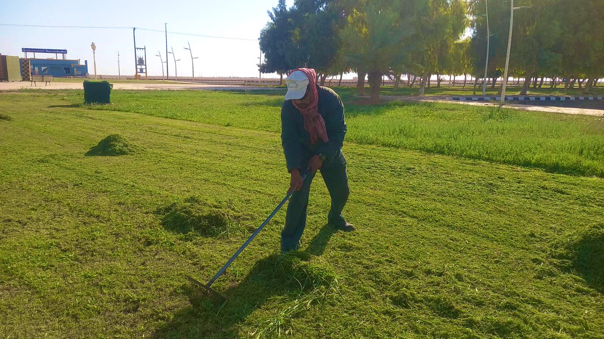 ummkhonsar's tweet image. استمرارًا لأعمال العناية بالبيئة وتحسين المشهد الحضري، نفذت #بلدية_أم_خنصر أعمال قص النجيل وصيانة المسطحات الخضراء في عدد من المواقع، بما يسهم في رفع جودة الحياة وتحسين المظهر العام.
#بلدية_أم_خنصر
#أمانة_منطقة_الحدود_الشمالية