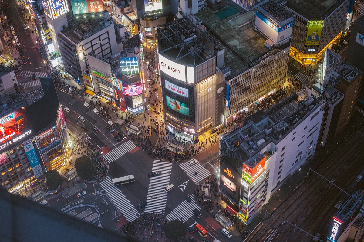 Philip Zhunior tweet media