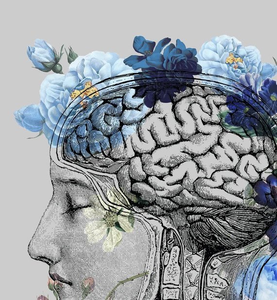mitzideluca's tweet image. World Brain Day 🧠
A tribute to the beauty of thinking, feeling, and being.
Today we honour the masterpiece behind it all.
#WorldBrainDay #Neuroscience #BrainAwareness #MindMatters #BeautifulBrain #worldbrainday2025
Images by @AllenInstitute, @bioscoolya & CatherineOriginals