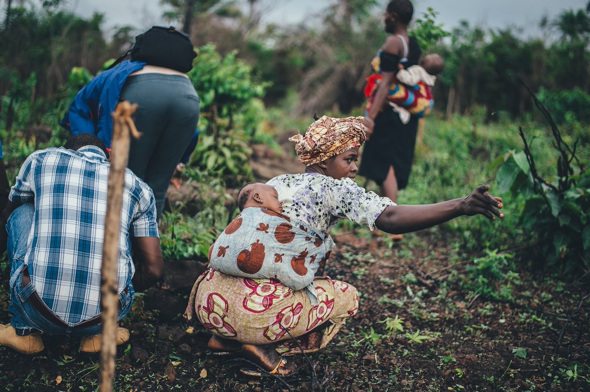 etherisc's tweet image. 🌍 Exciting news! Etherisc welcomes Sompo Digital Labs, the innovation arm of one of Japan’s top 3 insurers, as our latest partner.
Launched yesterday in Kenya with the Ministry of Agriculture, we’re automating parametric insurance for 250K+ farmers!
@lemonade_inc…
