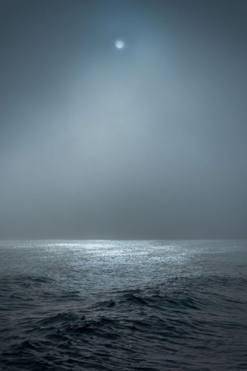 Volti assopiti nei confusi aneliti,
mancanti all'appello dei giorni d'estate.

#BricioleDiPensieri 
Il crepuscolo delle idee 

#photo Conrad Ziebland