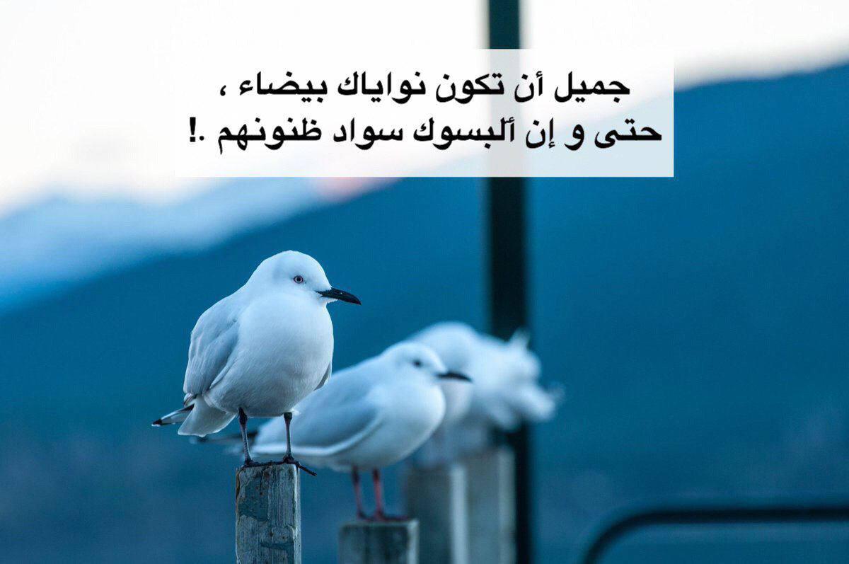 aymn_3003's tweet image. 