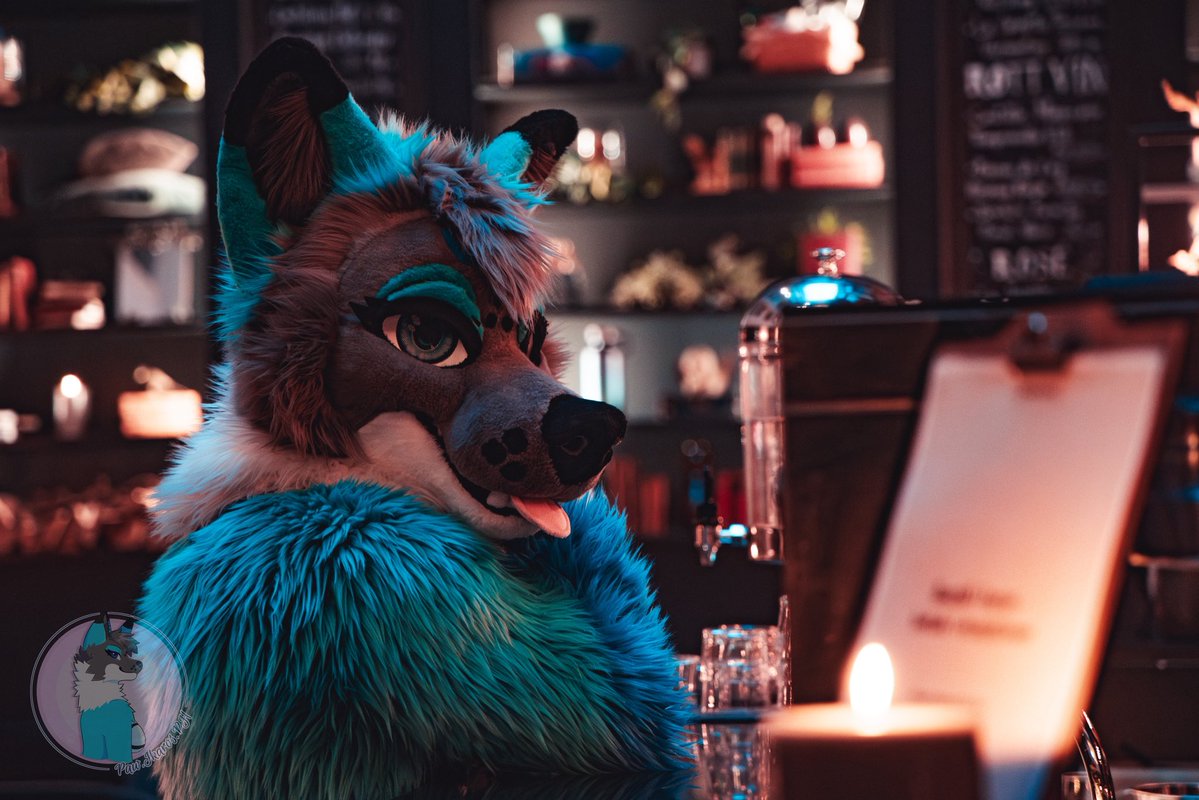 PawIkaros's tweet image. If you offer me a drink... I promise I'll stay untill closing ๐ธโจ
๐งต: @StuffedTailsFur
๐ธ: @Jitsune_fox
Logo by inubeans (on IG)