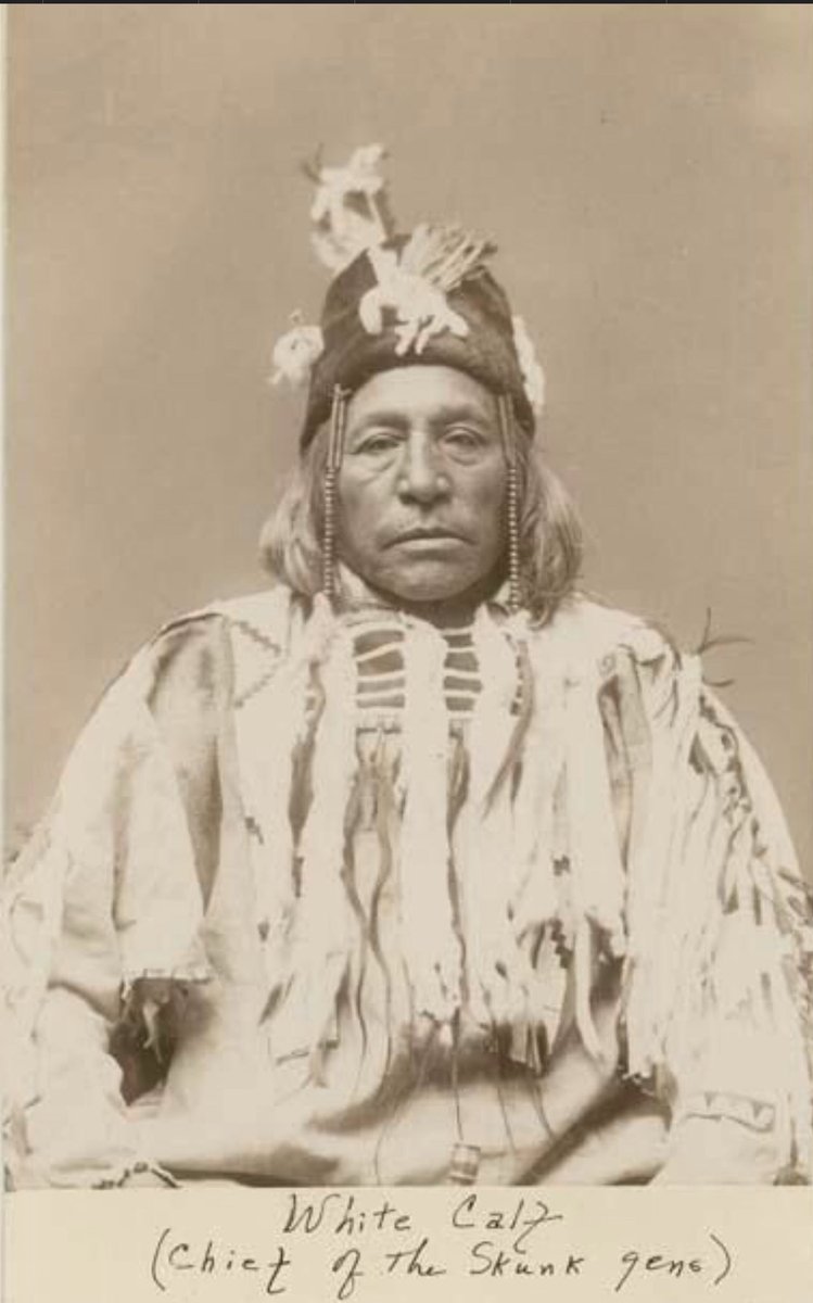 OpsEliteN8vKick's tweet image. The Truth of the Matter is; Blackfeet/Pikuni Chief’s, Elder’s, Tribal Leader’s and the Chieftainship from Chief White Calf. Yes, Chief White Calf is my Great G Grandfather (My 4th Grandfather) I am part of the Chief White Calf Clan, Chief W.C.&Sons. I have the same DNA that was…