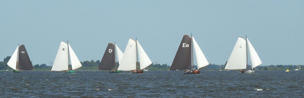 De herfst sluipt stiekem al een beetje binnen....foto 1 t/m 3 #deDeelen foto 4 #tjeukemeer #häst #otoño #autumn #Friesland #windmills #landscapephotography #nature