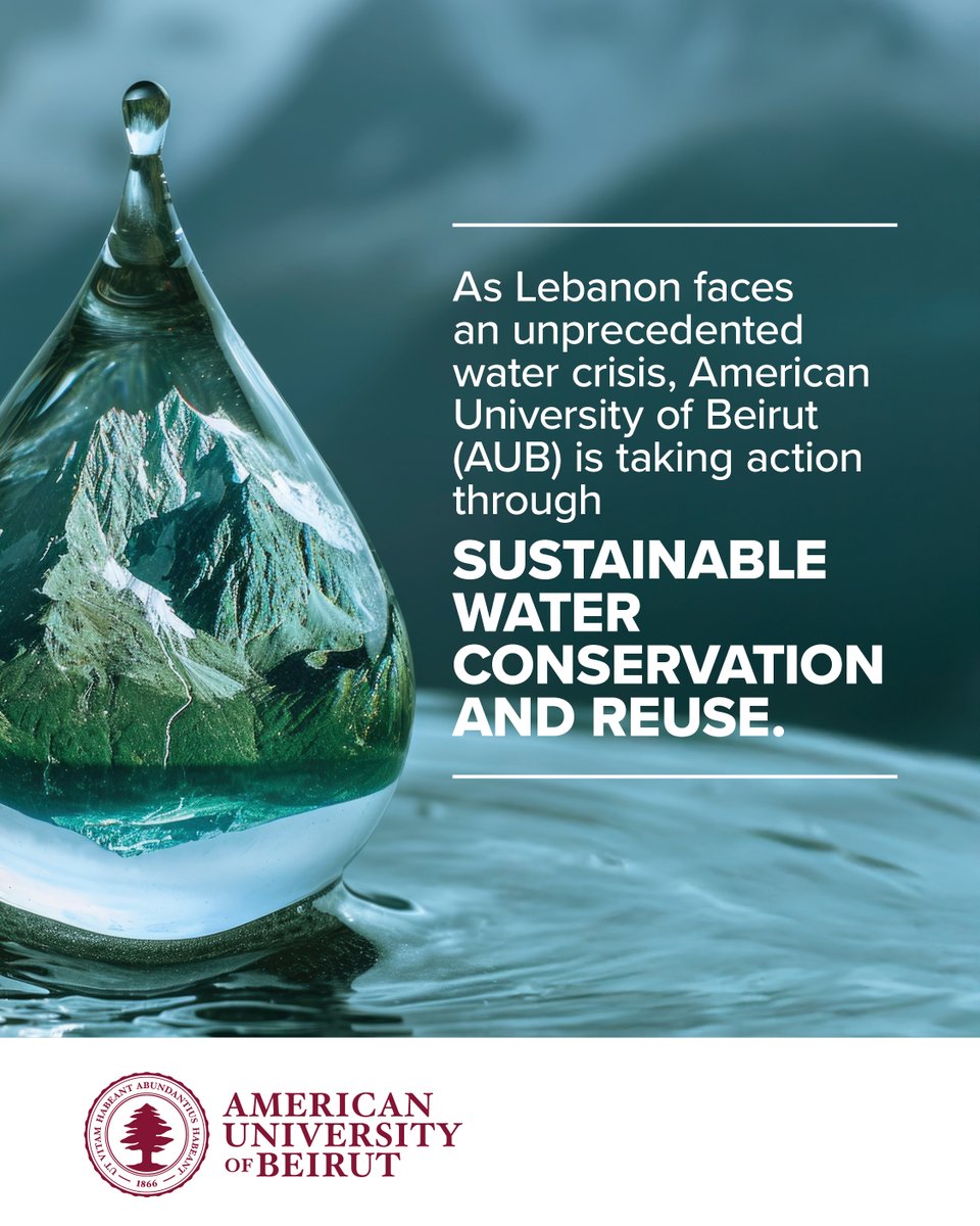 American University of Beirut tweet media