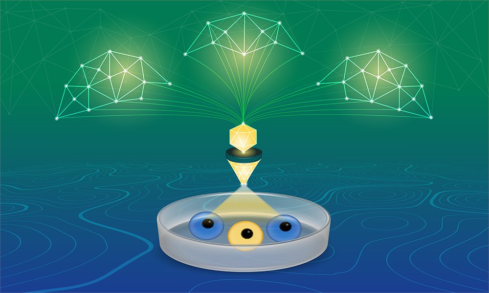 How can we find out what’s going on inside cells when we’re generating so much complex data?

CORNETO is an open-source tool that uses machine learning to turn tangled omics datasets into clear maps of how genes, proteins and signalling pathways interact.

ebi.ac.uk/about/news/res…