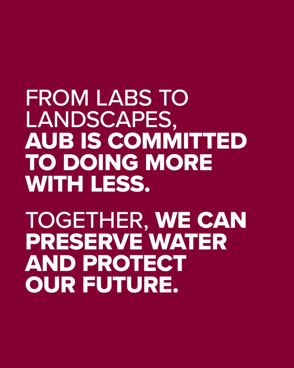 American University of Beirut tweet media