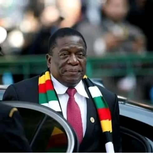 VARAKASHI4ED Bulawayo Chapter🔈 (@varakashi4edbyo) on Twitter photo Zimbabwe 🇿🇼 shall be great again!!!
Leaving no one and no place behind
#EDTheGameChanger
#EDWORKS
#EDELIVERS Zimbabwe 🇿🇼 shall be great again!!!
Leaving no one and no place behind
#EDTheGameChanger
#EDWORKS
#EDELIVERS