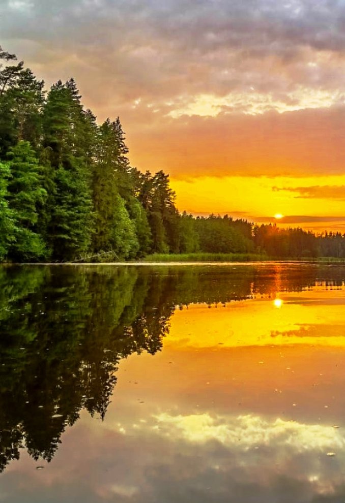 LoveSongs4Peace's tweet image. Beautiful golden hour skies are mirroring the surrounding coniferous forest to a lake in Latvia ๐ฑ๐ป