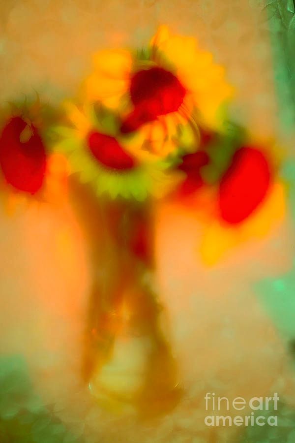 photographervin's tweet image. #Sunflowers alexander-vinogradov.pixels.com/featured/the-f…
#avinogradovflowers #photographyisart #nature #AlexanderVinogradov #photoghraphy #flower #floralart #beautiful #happy #print #giftidea #buyintoart #ArtSale #wallart #YearforArt #ArtLovers #BeautyinArt #FlowersOnX #garden #fineartphotography