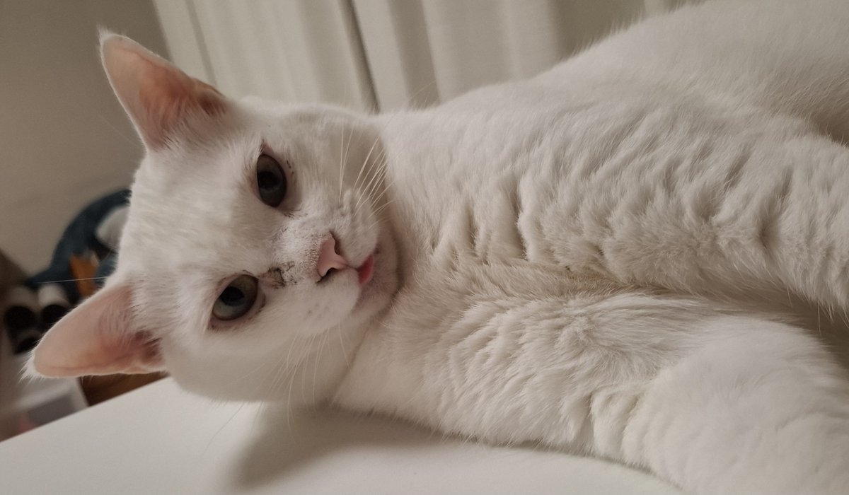 ssk_ktk828's tweet image. そろそろインスタを更新します。1週間たっても更新されていなかったらリプで教えてください。