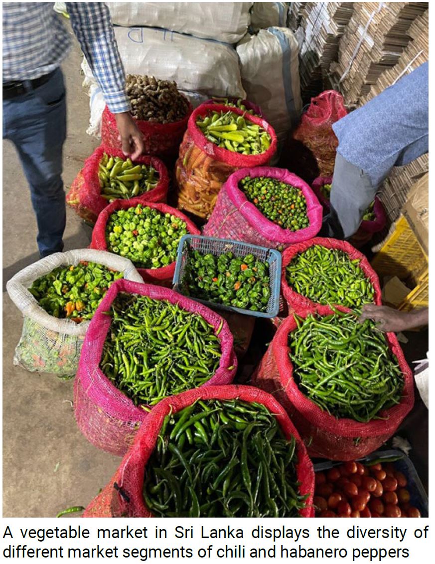 CGIARbreeding's tweet image. 🌶️🍅 #VegetableBreeding must align with both farmers & processors
👨🌾 Farmers want yield, resilience & adaptability
🏭 Processors need consistency, shelf life & sensory traits
@WorldVegCenter bridges the gap! Read #MarketIntelligence brief to learn more: cgspace.cgiar.org/items/a4cdb32a…