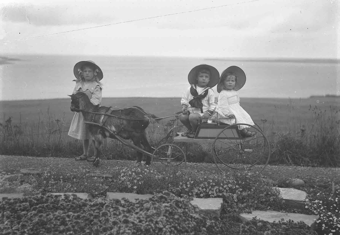 Orkney Library tweet media