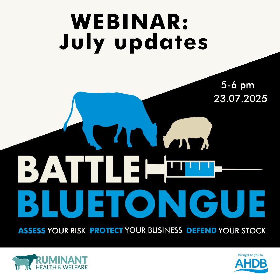SheepVetsoc's tweet image. The next #BattleBluetongue webinar - powered by @theAHDB will give the latest technical #BTV3 update, an overview of #DoNotWaitVaccinate campaign &amp;amp; #BattleBluetongue resources, plus a live Q&amp;amp;A. 
Date: 23/07/2025
From: 5-6pm 
🔗 Follow the link to book: bit.ly/4nZ9fzO
